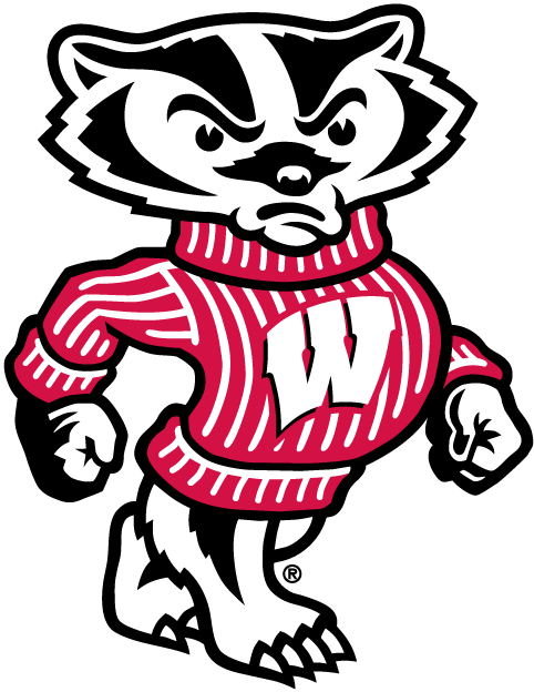 Wisconsin Badgers 2002-Pres Mascot Logo v2 DIY iron on transfer (heat transfer)